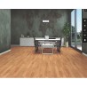 Floorpan 