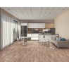 Floorpan Classic 8mm Laminant Parke