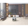 Floorpan Sunex 8mm Laminant Parke
