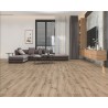 Floorpan 