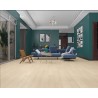 Floorpan Classic 8mm Laminant Parke