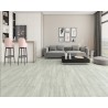 Floorpan Classic 8mm Laminant Parke