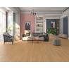 Floorpan Classic 8mm Laminant Parke