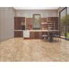 Floorpan 