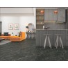 Floorpan Classic 8mm Laminant Parke